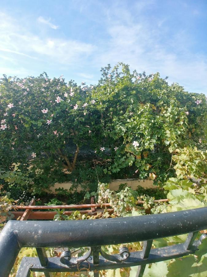 Ζini 2 Villa Kefalos  Bagian luar foto
