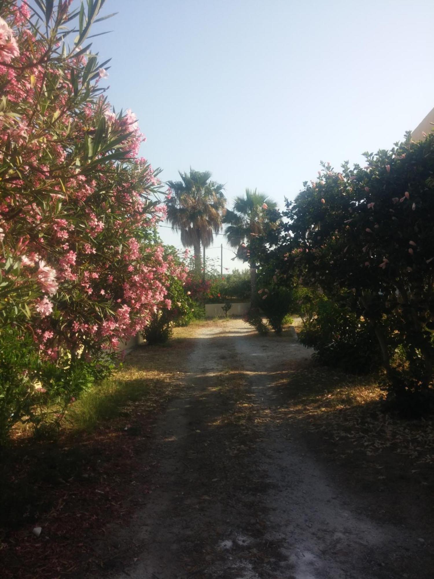 Ζini 2 Villa Kefalos  Bagian luar foto