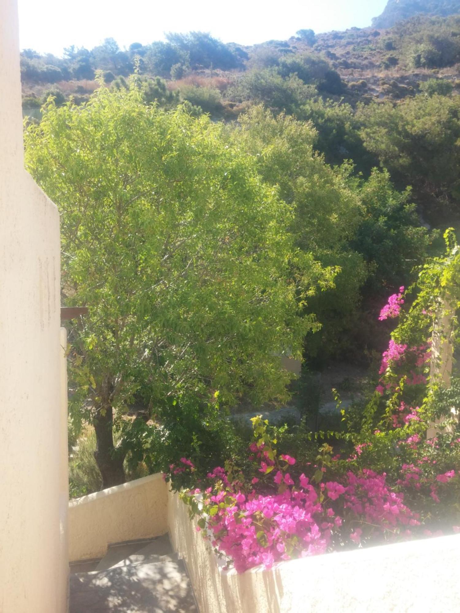 Ζini 2 Villa Kefalos  Bagian luar foto