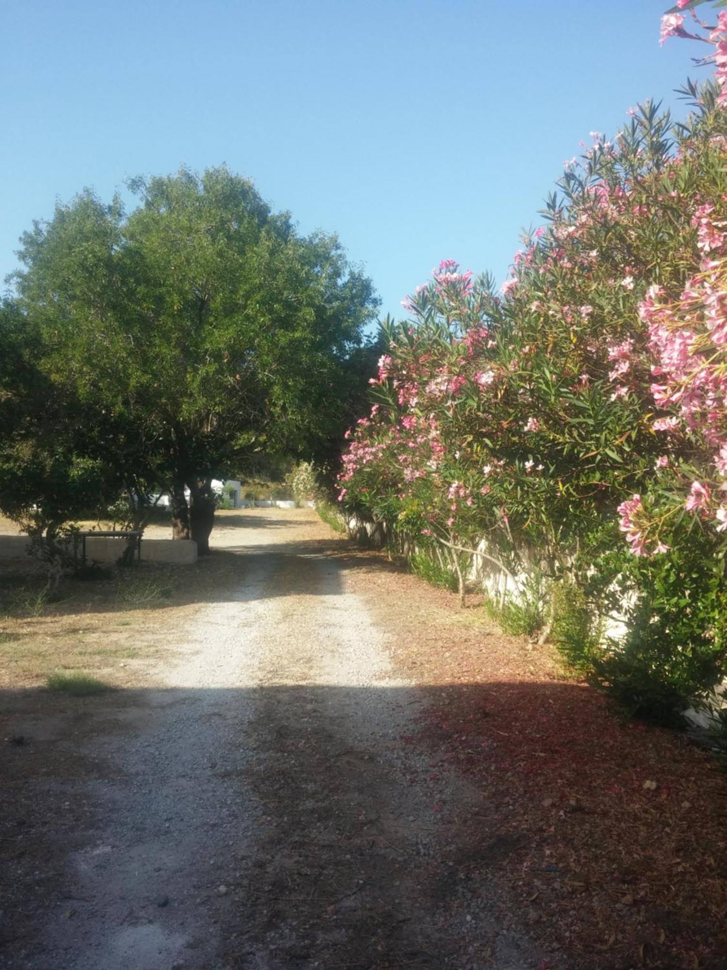 Ζini 2 Villa Kefalos  Bagian luar foto