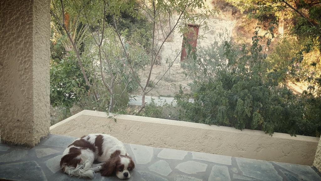 Ζini 2 Villa Kefalos  Bagian luar foto