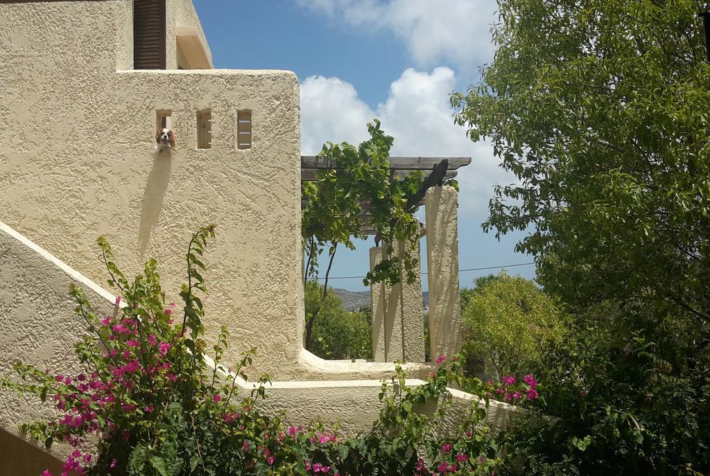 Ζini 2 Villa Kefalos  Bagian luar foto